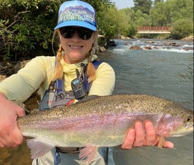 Alie fish-1